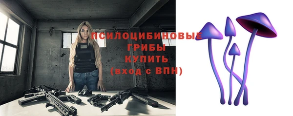 спайс Абаза